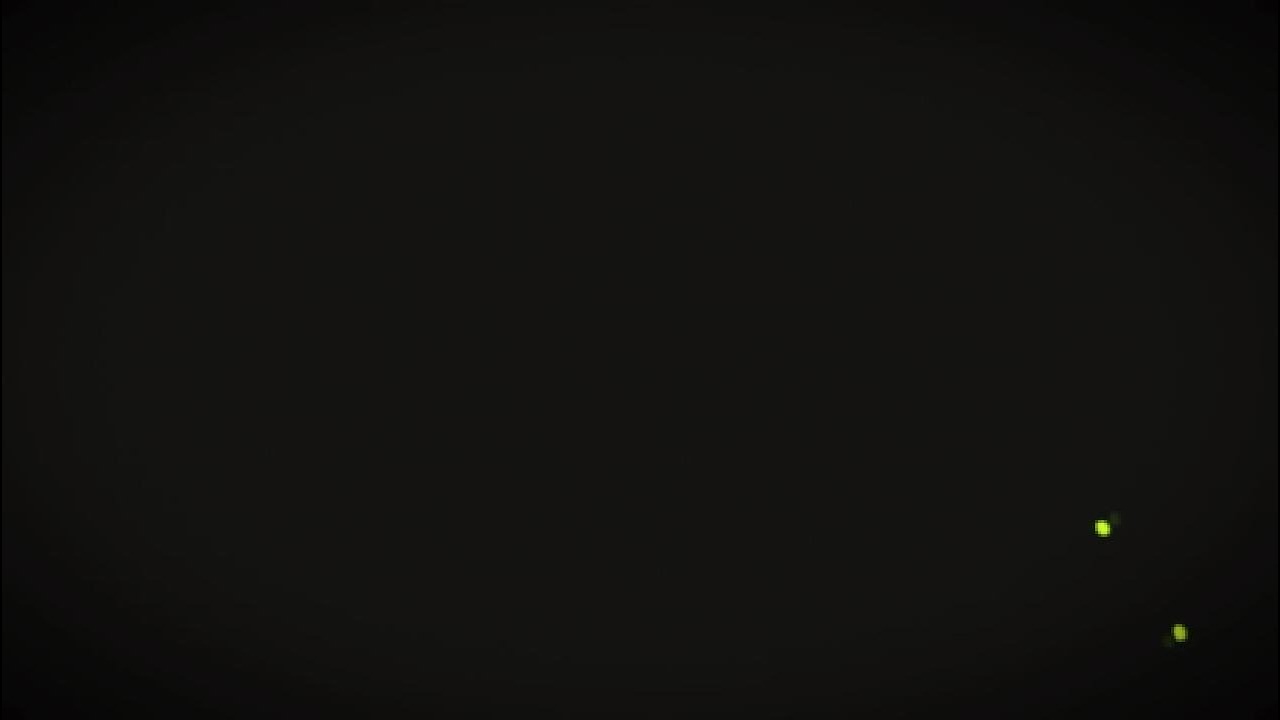 Nigel thornberry vs nigel thornberry