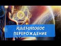 Можно ли изменить судьбу? 9 дней перерождения | Наталия Милагра