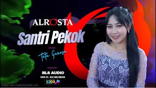 Video thumbnail of "SANTRI PEKOK COVER. TATA GANOSA || ALROSTA MUSIC"