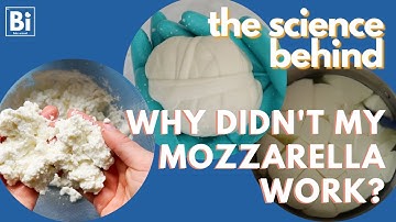 The Science Behind: Why Didn