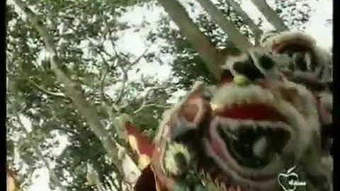 Đám cưới trên đường quê. Ngọc Sơn