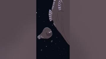 Deep-sea Anglerfish 💡🐟 #animation #original #cartoon