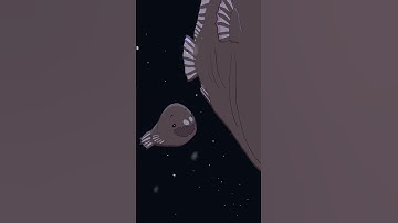 Thumbnail of Deep-sea Anglerfish 💡🐟 #animation #original #cartoon