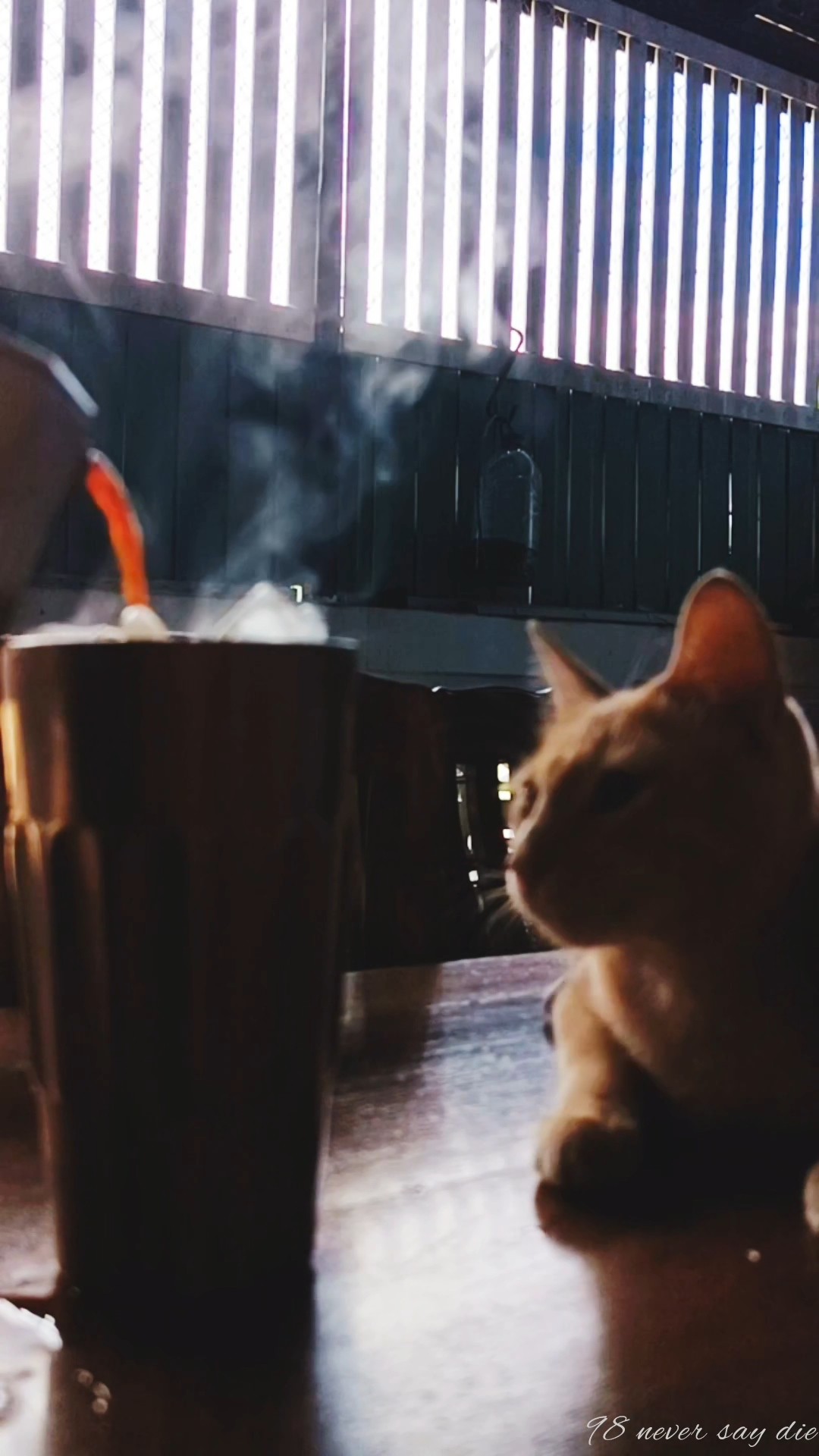Hi Can I Get A Black Coffee Please cat blackcoffee YouTube Hi Can I Get A Black Coffee Please cat blackcoffee YouTube