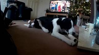 ***Not For Children*** dexter 23 dec 2018