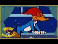 Woody Woodpecker Show | Sleepwalking Woody | Full Episode | Videos For Kids