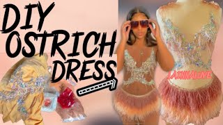 DIY OSTRICH FEATHER MESH MINI DRESS