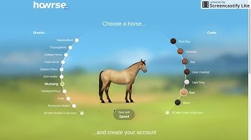 Howrse Series #1: All About Howrse!