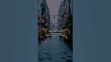 تلاوة خاشعة وعطرة تريح القلب والنفس للقارئ أنس المالك