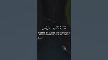 كروما ايات قرانية عبدالباسط عبدالصمد _ ووصينا الإنسان بوالديه حملته أمه وهنا على وهن _ من سورة لقمان