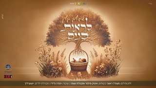 לראות בנים  שמוליק קליין, מקהלת נשמה, מילים ולחן: מענדל ראטה, | shmulik klein  liros bunim,