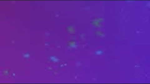 سورة النبأ بصوت الشيخ القارئ فارس عباد