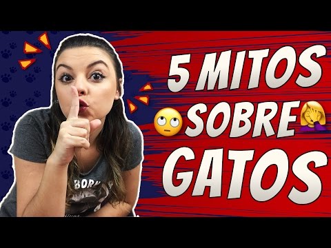 Vídeo: 5 mitos comuns do comportamento do gato desmascarados