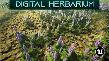 Digital Herbarium for Unreal Engine 5 || Showcase Demo 2