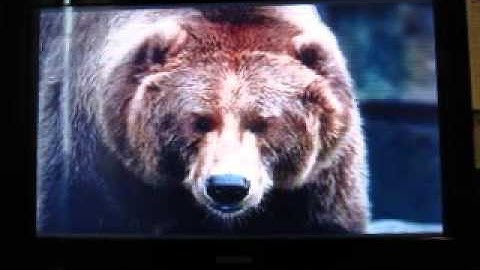 Jeopardy! Playstation 2 Run Game 2: Part 2