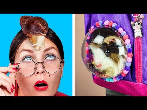 how-to-sneak-pets-into-class-/-8-funny-pet-pranks-and-hacks