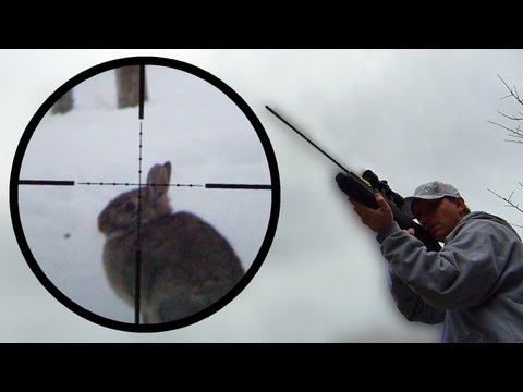 Arrow Gun Rabbit Hunt with FX Verminator and G5 Small Game Head (SGH)