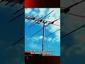 Como acessar o IPTV na smart tv Samsung, LG, Roku e Android #iptv #melhoriptvdobrasil