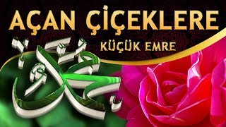 İlahi - Açan Çiçeklere Meyve Verilmiyor MUHAMMEDsiz / Küçük Emre