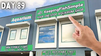 My Fish Shop is Almost Ready to Open!