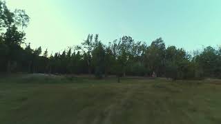 The Crash