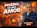 PISEIRO DO MEU AMOR – Fernando João | Forró de São João 2026 🔥💙🧡