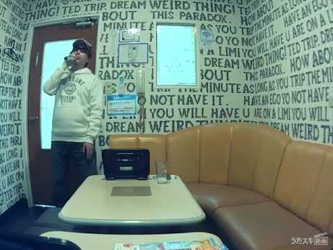 PRINCESS PRINCESS／DIAMONDS〈ダイアモンド〉【歌ってみた】【うたスキ動画】