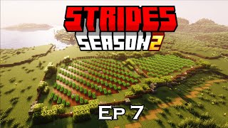 Cleaning up the base and expanding our farms | Strides SMP S2, Episode 7