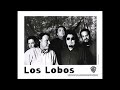 Los Lobos Live at World Cafe, Philadelphia - 1996 (audio only)