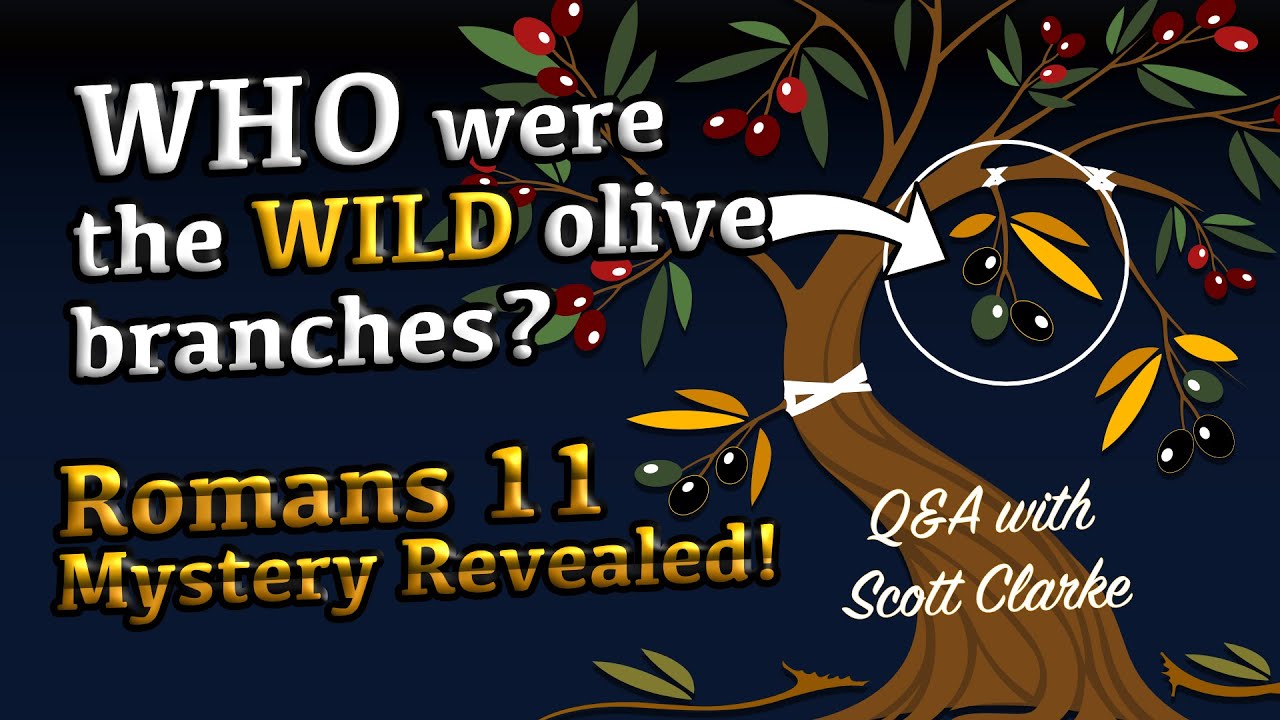 the-gentile-wild-olive-branches-in-romans-11-are-not-who-you-think-they