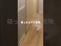 火災報知器にカバーつけ忘れて戻ったら○にかけた