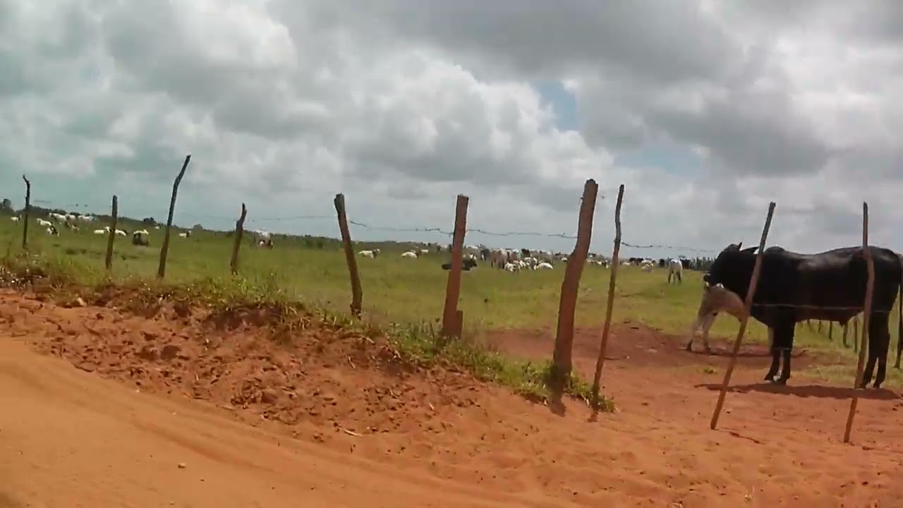 Viagem praia de Campina PB - 2023