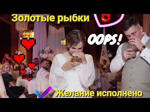 Оригинальное поздравление на свадьбе. В подарок по золотой рыбке