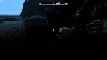 RealVision ENB water bug