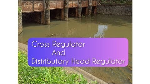 Cross Regulator And Distributary Head Regulator #irrigationengineering