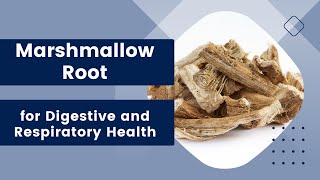 Marshmallow Root: The Soothing Herb for Digestive and Respiratory Health
