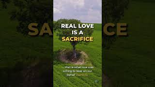 Love Puts Others Before Itself | Understanding Love - Day 4
