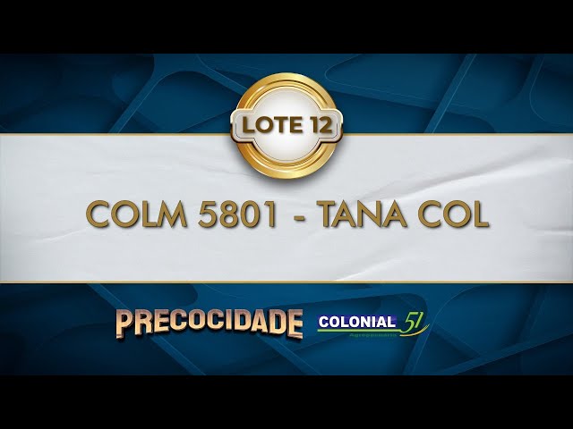 LOTE 12   COLM 5801