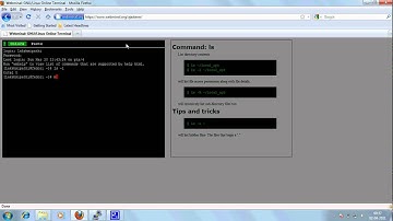 Online Linux Terminal Webminal.org