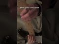 kinda emotional riff #guitar #shorts #fyp