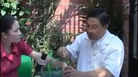 rắn cắn bài thuốc đông y thật hay