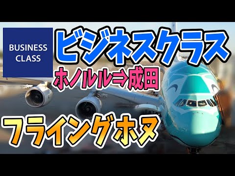 ANA フライングホヌ ビジネスクラスでハワイから帰国！ホノルル→成田｜A380｜【ハワイ旅行記⑨】