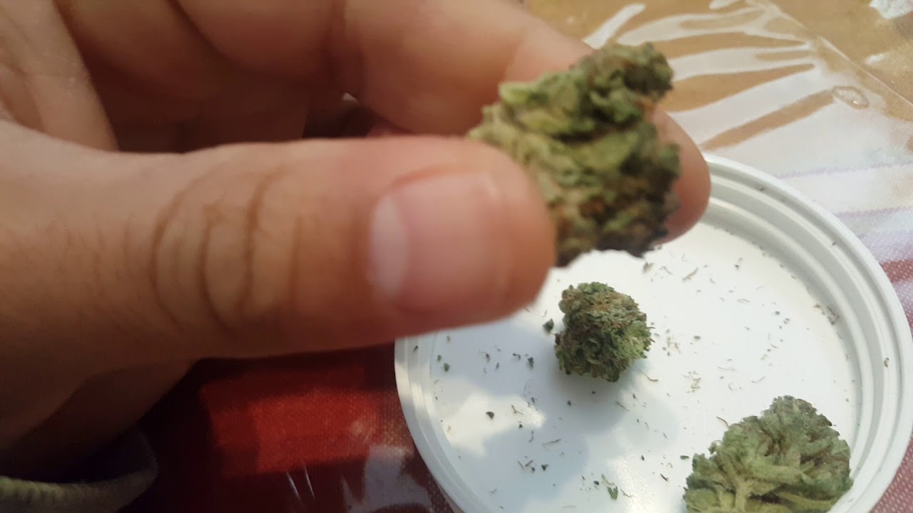 BC Pink Kush by Flowr