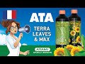 Ata terra max  leaves  fr
