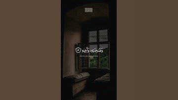 {یُبَصَّرُونَهُمۡۚ یَوَدُّ ٱلۡمُجۡرِمُ لَوۡ یَفۡتَدِی} | محمد صديق المنشاوي | سورة المعارج.