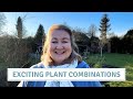 Planting Colourful Perennials In The Top Border // Cottoverdi