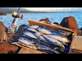 【本当にいるの?ウソのようなホントの人造魚】南方の海で簡単に釣れると聞いたので行ってきた