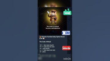 Hamster daily cipher code 10July 2024