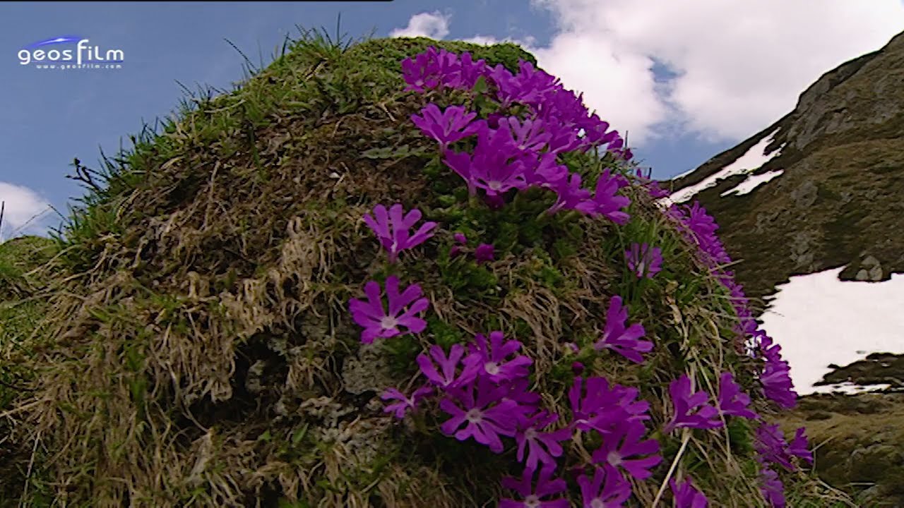 Zwischen hohen Bergen und tiefen Tälern - geosfilm