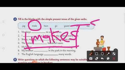 EnglishGrammar/Class 4/Chapter 13/Simple Present & Present Continuous Tense/Exercises